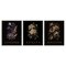 Stupell Industries Antique Botanical Herb Bushels 3pc Framed Giclee Set, design by Christopher Giampietro